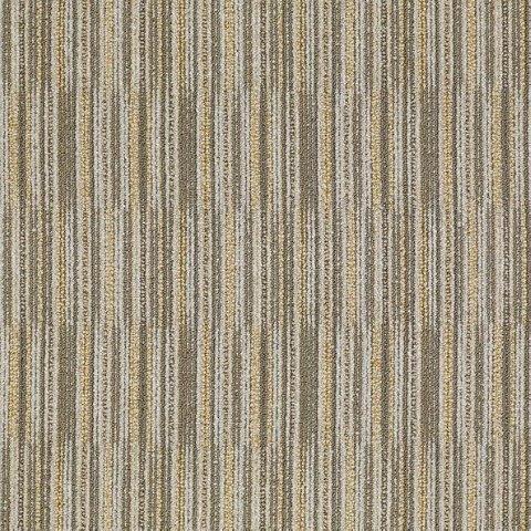 Shaw Philadelphia Carpet Tile Cutaway J0181